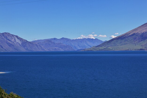 Natura dell'isola del sud della Nuova Zelanda