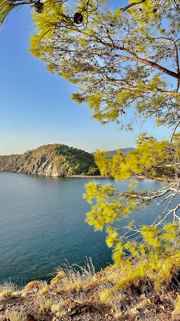 natura della costa del Mar Egeo in Turchia