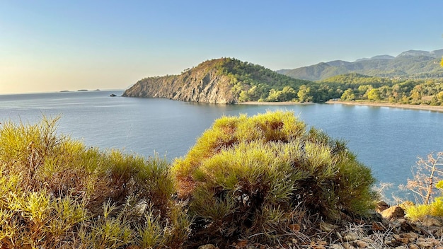 natura della costa egea della Turchia