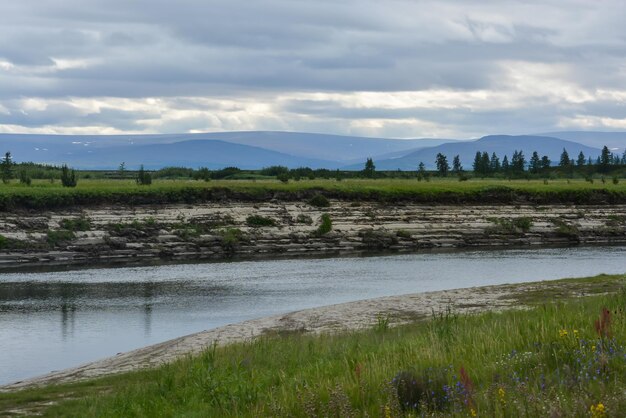 Natura della penisola di Yamal