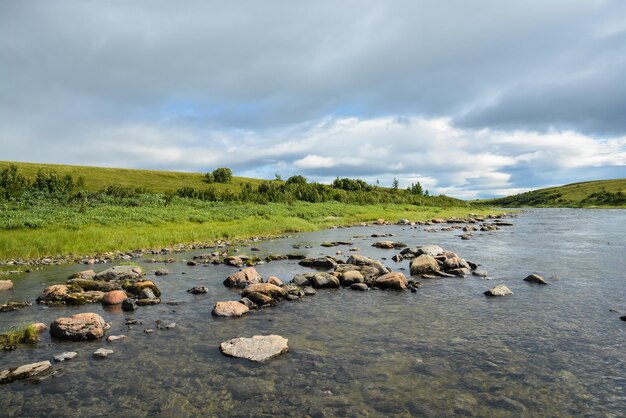 Natura della penisola di Yamal