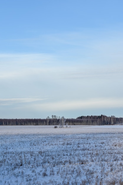 Natura della Russia in un gelido inverno