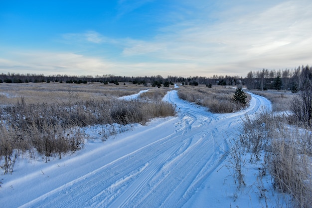 Natura della Russia in un gelido inverno