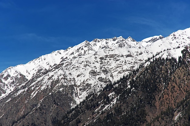 Natura della valle di Kalam in Himalaya Pakistan