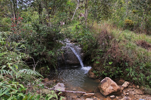 Natura della valle di Wamena, Papua, Indonesia