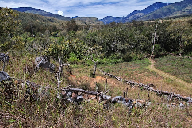 Natura della valle di Wamena, Papua, Indonesia