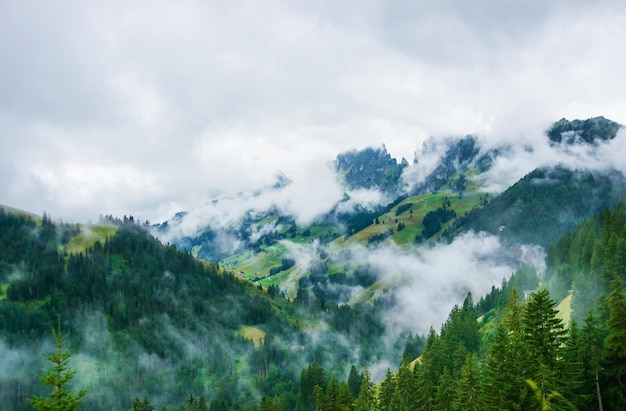 Natura delle Alpi svizzere al Passo Jaun nel cantone di Friburgo in Svizzera.