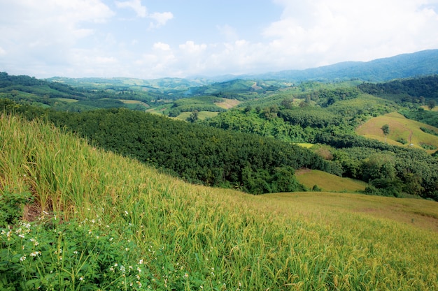 Natura delle montagne al cielo.