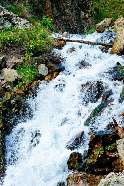 Natura delle montagne di Altai e della cascata in Siberia in Russia