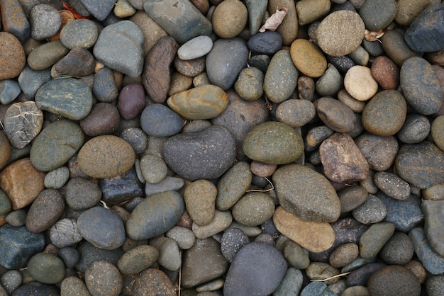 natura di ghiaia spiaggia di pietra sullo sfondo