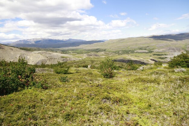 Natura durante il trekking Patagonia