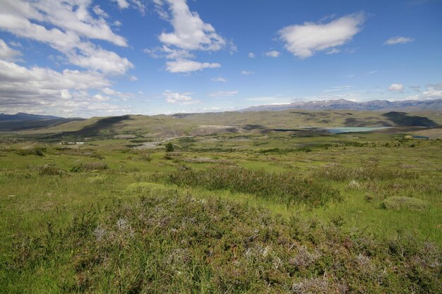 Natura durante il trekking Patagonia