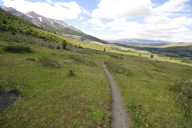 Natura durante il trekking Patagonia