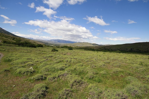 Natura durante il trekking Patagonia