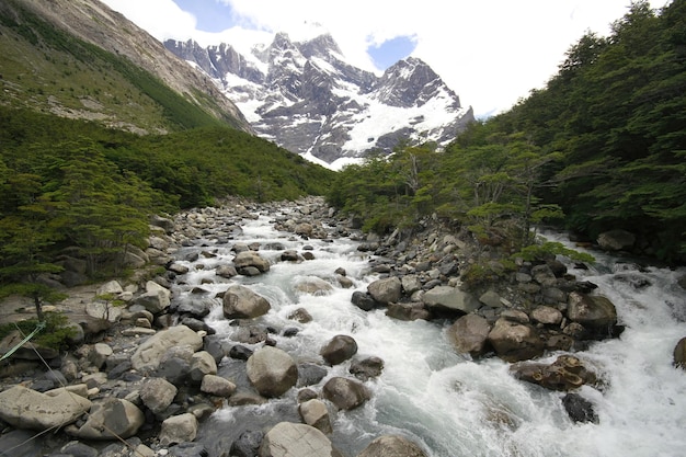 Natura durante il trekking Patagonia