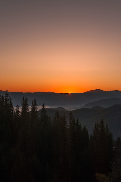 natura, foresta, montagne e alba