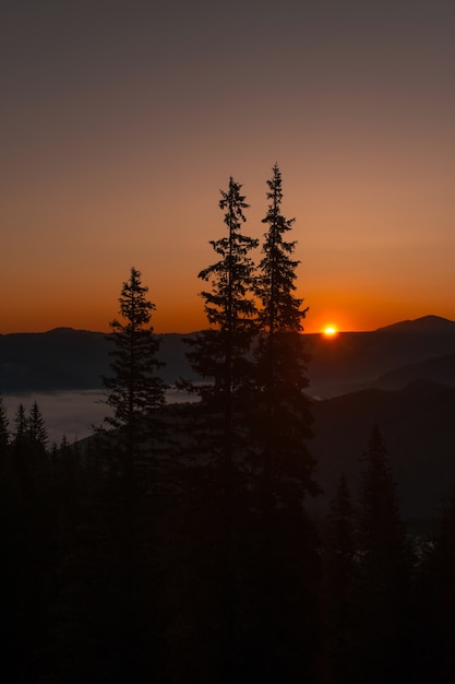 natura, foresta, montagne e alba