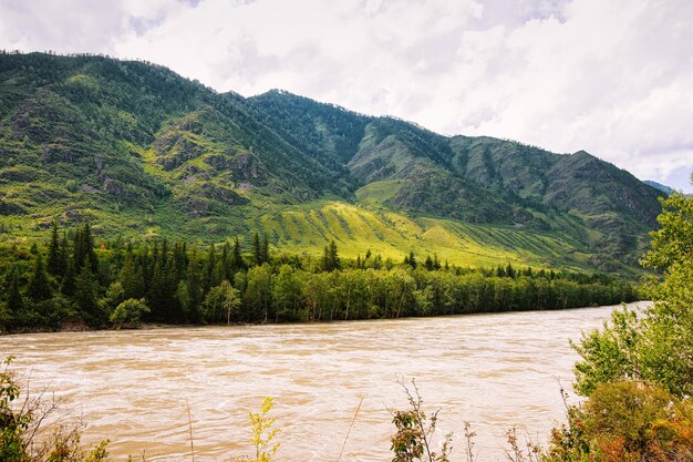 Natura fredda delle montagne di Altai e del fiume Katun in Siberia in Russia