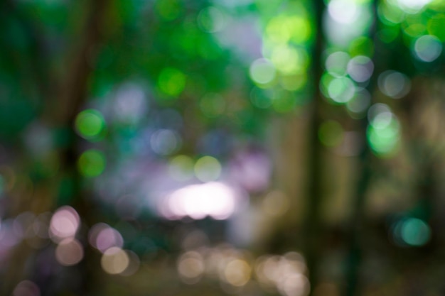 Natura fresca verde sfocato e sfondo bokeh di fondo