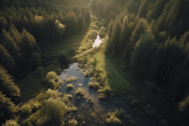 Natura Immagine ripresa da Drone Ai generativa