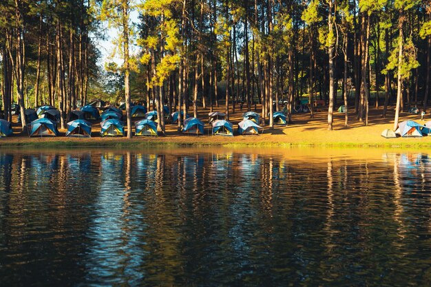 Natura lago e foresta Posizione del campeggio, viaggio nella natura