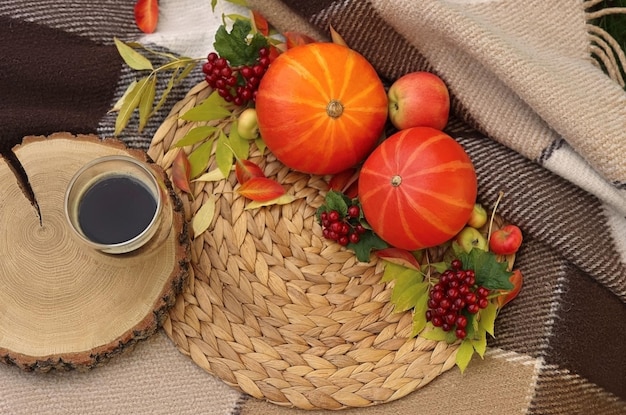 natura morta autunnale accanto alla vista dall'alto del caffè