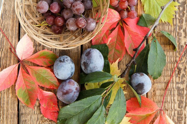 Natura morta autunnale con prugne sul ramo, uva in cesto di vimini, foglie verdi, gialle e rosse su tavole di legno