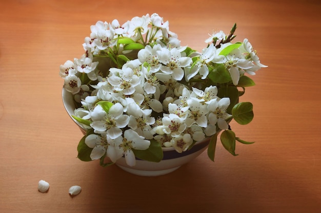 Natura morta con fiori di pera in una ciotola bianca sul tavolo