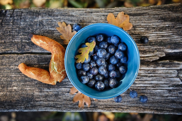 Natura morta con prugnolo e bagel