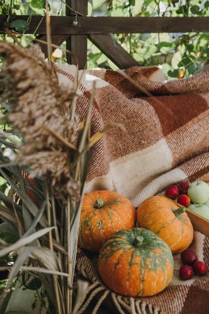 Natura morta con una varietà di zucche e frutta e verdura di stagione Stagione autunnale