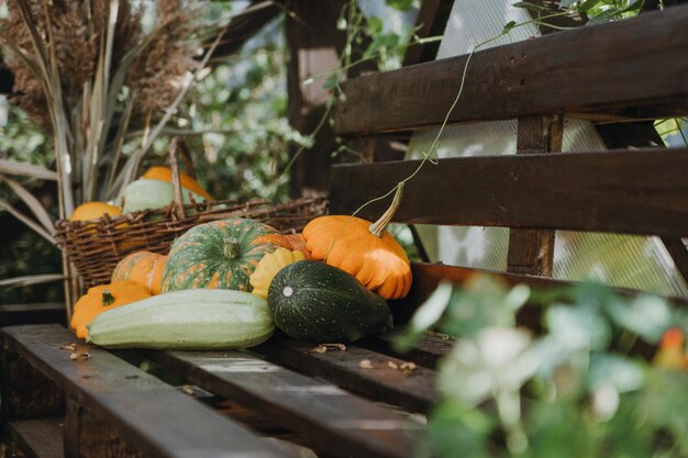 Natura morta con una varietà di zucche e frutta e verdura di stagione Stagione autunnale