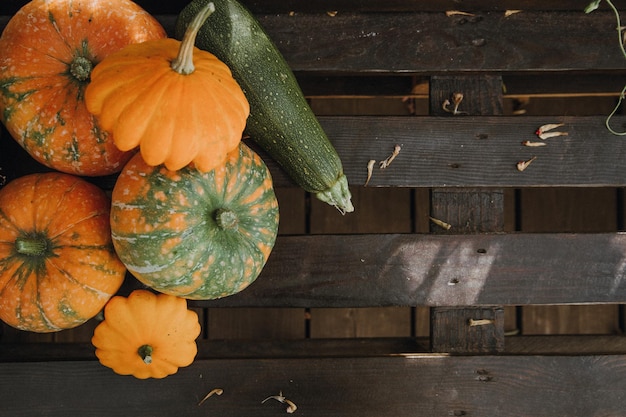 Natura morta con una varietà di zucche e frutta e verdura di stagione Stagione autunnale