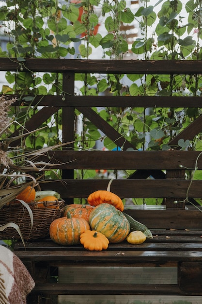 Natura morta con una varietà di zucche e frutta e verdura di stagione Stagione autunnale