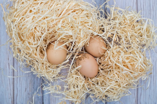 Natura morta con uova di gallina su trucioli di legno