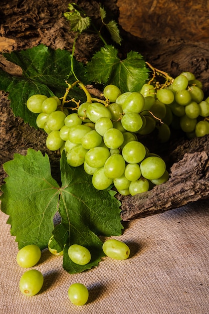 Natura morta con uva verde.