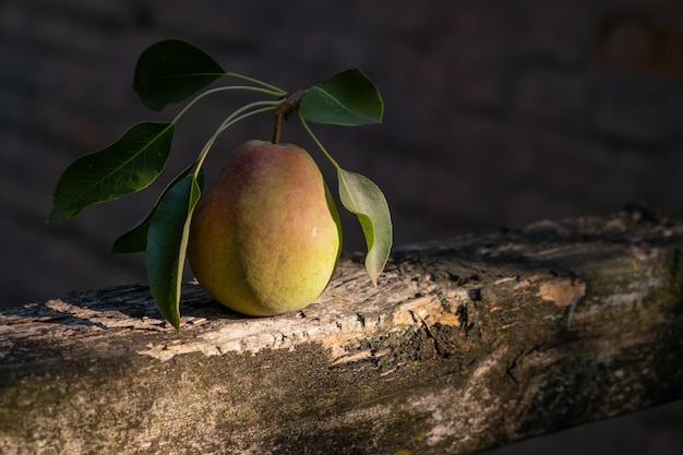 Natura morta di una pera con foglie su una staccionata in legno illuminata da un raggio di sole