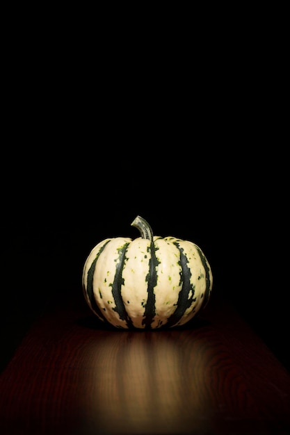 Natura morta di una zucca decorativa su uno sfondo scuro