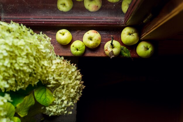Natura morta moderna con i fiori verdi dell'ortensia e le mele verdi su un davanzale di una casa di campagna di legno