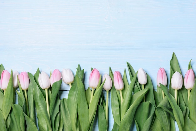 Natura morta primavera delicati tulipani bianchi e rosa