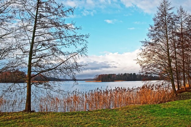 Natura nel lago Galve nell'isola di Trakai, vicino a Vilnius, Lituania