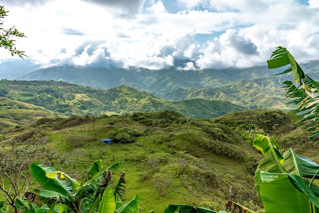 Natura nel paesaggio montano della Colombia