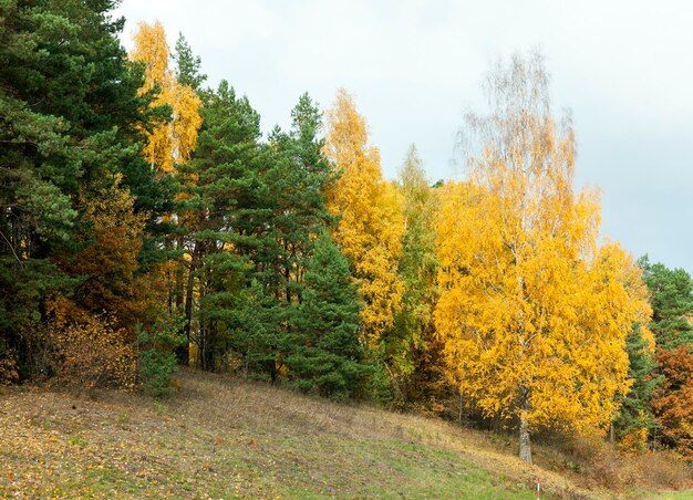 Natura nella stagione autunnale