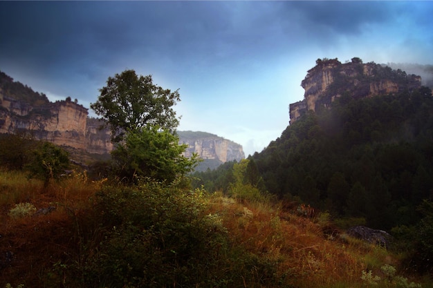 Natura Paesaggi Azioni 2