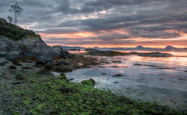 Natura ruvida nel paesaggio norvegese in estate