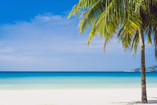 Natura tropicale spiaggia pulita e sabbia bianca