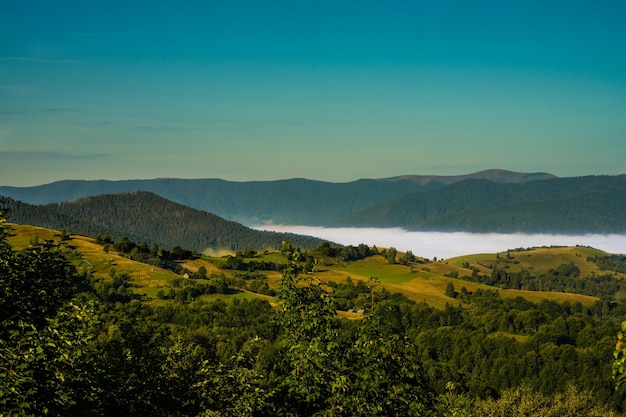 Natura ucraina Montagne Carpazi Natura dell'Ucraina Le montagne Bella vista