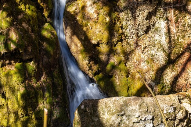 Naturaleza en Pozo Alcon, Jaen, Spagna