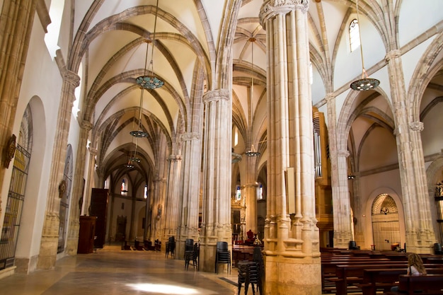 Navata della cattedrale, uno spazio con colonne in stile gotico