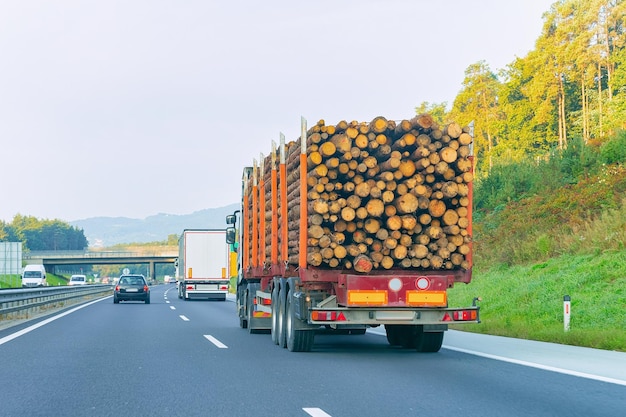 Nave da trasporto di legno nella strada autostradale della Polonia. Trasporto di camion che consegna un carico di merci.