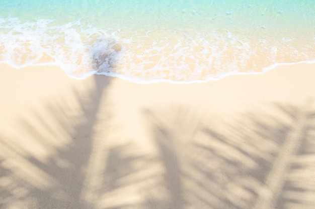 Navigare in mare sulla riva sabbiosa con ombre dai rami delle palme da cocco Sfondo chiaro della natura